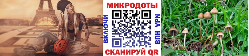 Купить где  Опочка  Галлюциногенные грибы GOLDEN TEACHER 